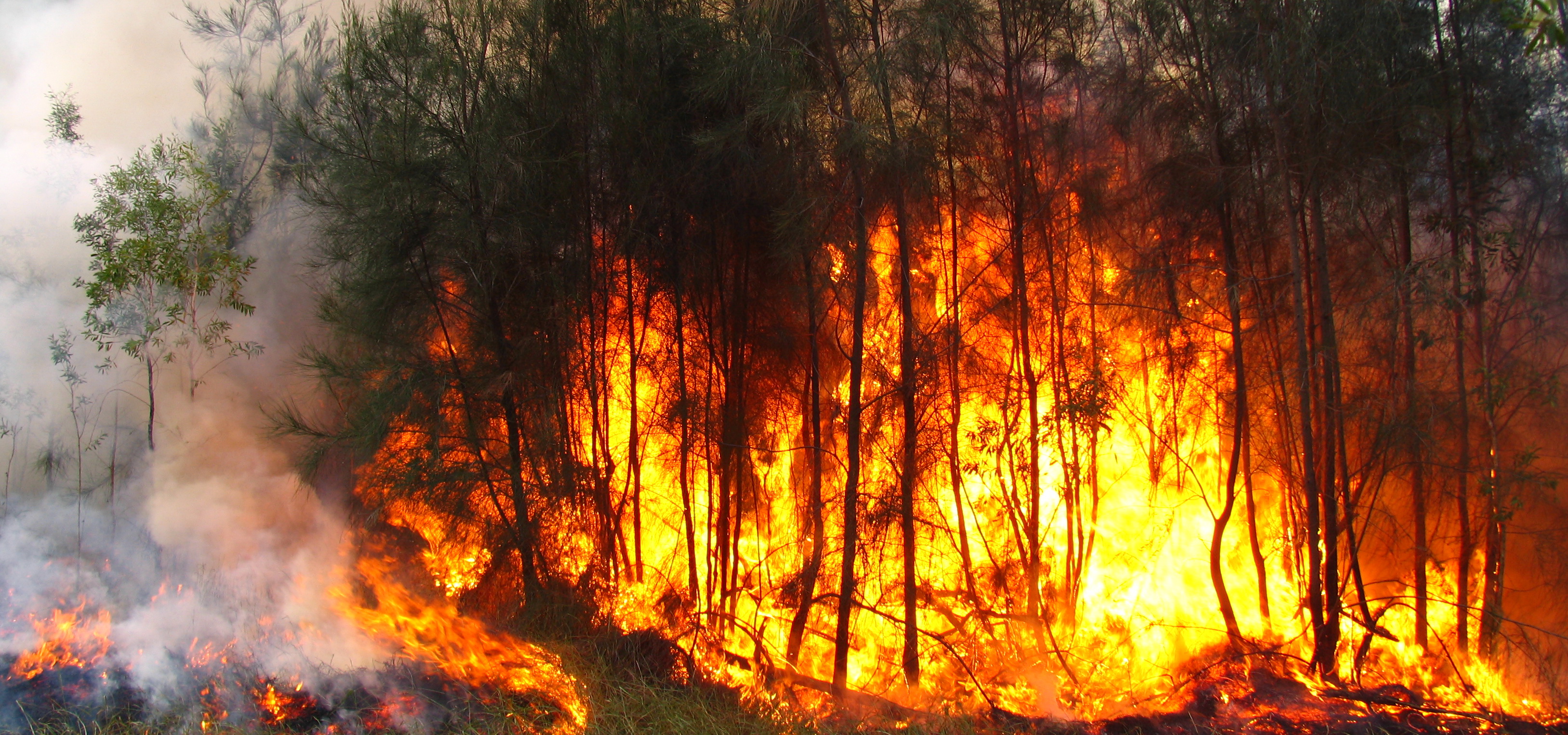 Resultado de imagen de incendios